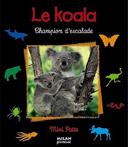 Le Koala champion d'escalade